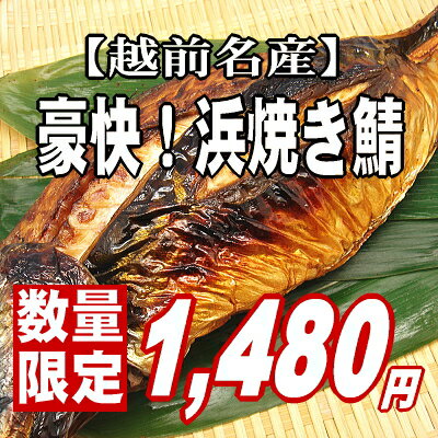 【1匹まるごと豪快焼き！】昔から伝わる福井の味♪浜焼き鯖【楽ギフ_のし】【10P23Jul12】越前若狭の食文化他ではなかなか味わえない