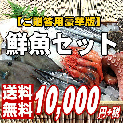 【板前ご用達の超豪華版】福井の最高級魚介類詰め合わせ【鮮魚】...:maruuo:10000093