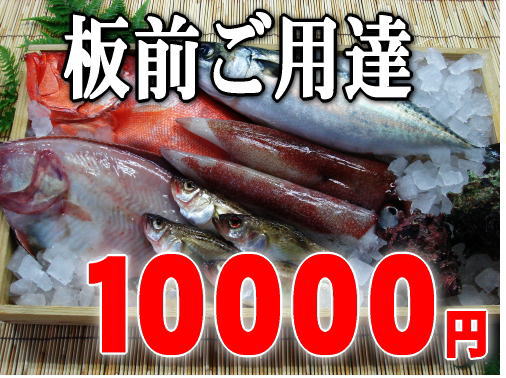 【板前ご用達の超豪華版】福井の最高級魚介類詰め合わせ