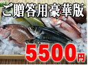 【板前も大満足の豪華版】越前旬の鮮魚詰め合わせ