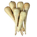 イギリス産フレッシュパースニップ 1kg y1