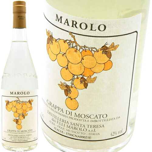 https://thumbnail.image.rakuten.co.jp/@0_mall/maruyamaya/cabinet/image/others/grappa/imgrc0093615921.jpg?_ex=500x500