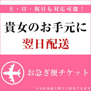 ブラックフォーマル・喪服・カラーフォーマルの翌日配送が可能に！【お急ぎ便チケット】[※配送…...:marycoco:10002390