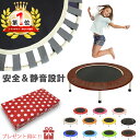 【ラッピング対応】トランポリン 耐荷重100kg 102cm 家庭用 子供 ゴム スポーツ とら