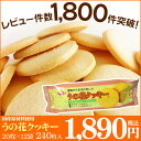 【楽天ランキング1位受賞】ダイエット クッキー うの花クッキー【送料無料・代引き無料】【楽天最安値挑戦中】レビュー件数1,800件突破！ダイエット食品 ヘルシークッキー 豆乳おからクッキー1kg ダイエットクッキー【SS10P03mar13】