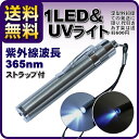 定型外なら送料無料(あす楽・代引き・日時指定\600~)【2way‐LED&UVライト】 ブラックライト05P28Sep16 10P01Oct16