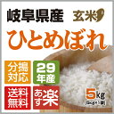 新米 29年産【送料無料】選べる分搗き29年 岐阜県産ひとめ...