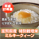こだわり農法で栽培されたお米獲れたてモチモチの美味しいお米【送料無料】 平成21年産・新米滋賀県産・特別栽培米ミルキークィーン ・玄米5kg 【k4u5643】