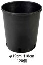 ナーセリーポット φ19cm H18cm (持ち手なし) 120個 イタリア製プランター 丸 ガーデニング プラスチック 植木鉢 RPφ19(18)-H18 樹脂 黒 園芸用 育苗 生産者様向け 送料無料 個人様宛は送料1,500円(税別) 野菜 果樹