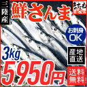 最旬!お刺身で食べれる高鮮度!産地直送 三陸産生さんま3kg...