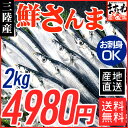 最旬!お刺身で食べれる高鮮度!産地直送 三陸産生さんま14尾...