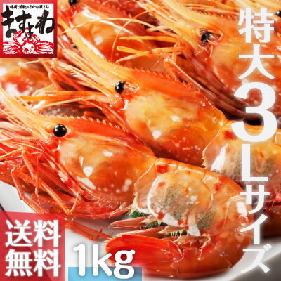 父の日 ギフト[特大3Lサイズ厳選]最高級本ボタンエビ1kg（500g×2パック入）【送料無料】【レ...:masuyone:10000396