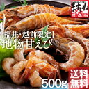 お試しセール！[越前がらえび500g(約30匹)[送料無料]無添加・無着色（生/冷凍）[えび/エビ/海老/ガラエビ][あす楽/あす楽対応/あす楽 送料無料][刺身/海鮮/魚介/海の幸/北陸/福井]【楽ギフ_のし】