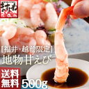 子持ち越前甘エビ[送料無料]（2-4人前）【えび、海老】【楽...