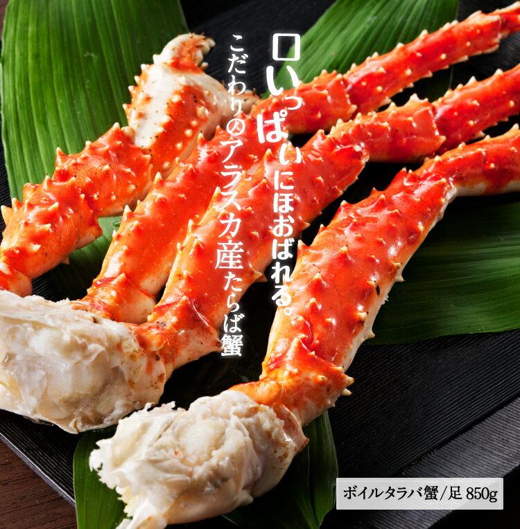 N܂ԂɍIyΕzNNntMtgIujv̌yr[]4.53Iz[ŏ㋉v~Ai]傽ΊI/850gO({C/Ⓚ)2lO[/Jj/I//^o/Ε]yyMt_̂z