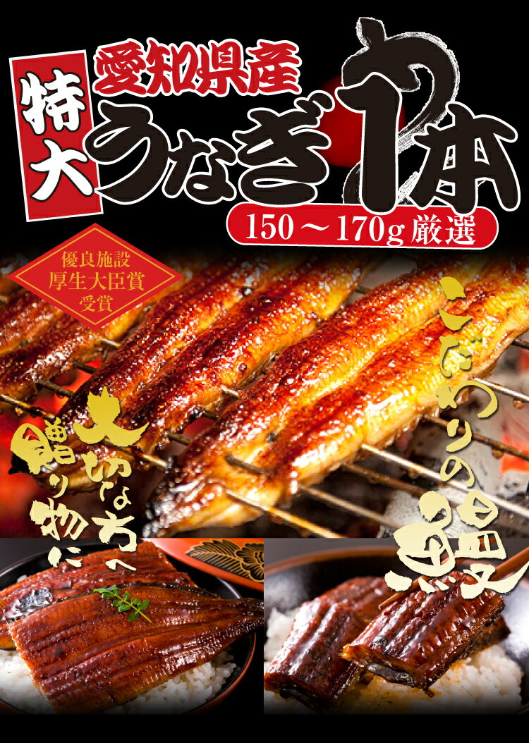 【伝統の愛知県三河産】大サイズうなぎ蒲焼き150-170g1本【タレ・山椒付き】≪同梱推奨…...:masuyone:10000915