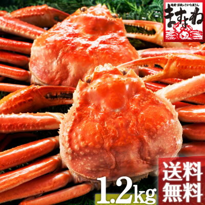 [お歳暮・お年賀]ボイルずわい蟹/姿1.2kg仕立て(600g前後×2匹)[送料無料](2-3人前)[かに/カニ/蟹/ずわい/ズワイ][年末年始]蟹味噌まですべてを堪能するなら姿蟹！[あす楽対応][ますよね]