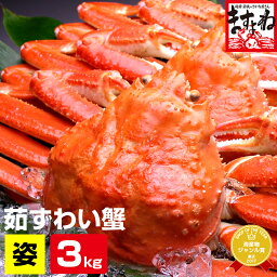 【最安挑戦★12300円！メガ盛り3kg ズワイガニ姿】【今年は訳あり規格になります】ボイルずわい蟹 / 姿 (5匹〜7匹入)[ <strong>かに</strong> / カニ / 蟹 / ズワイ / 福袋 / カニ 通販 / 福袋 お取り寄せ]お歳暮 ギフト 送料無料 プレゼント 食べ物 お取り寄せグルメ