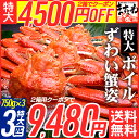 テレビ放映記念★クーポンで最安9,480円送料無料!【特大1...