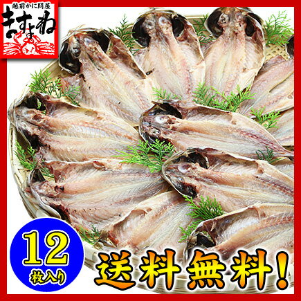 【業務用】アジ干物×12枚[送料無料]あじ【あす楽対応】鯵【smtb-t】【楽ギフ_のし】