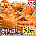 徳用ボイルずわいカニ /姿3kg前後（600g前後×5匹入り）[送料料]身も味噌もギッシリでレビュー高評価！