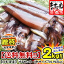 日本海産お刺身用するめいか（真イカ）中型サイズ×7ハイ[送料無料]イカいか肝(キモ)醤油で食べるお刺身が絶品！