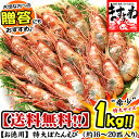 ボタンエビ1kg[送料無料]ぼたんえび食べ応え抜群♪肉厚ぷりぷり！希少な特大サイズ厳選！