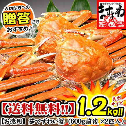 【残りわずかです】ボイルずわい蟹/姿1.2kg前後[送料無料...