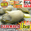 ジャンボ広島カキ1kg[加熱用・解凍後約850g]※約10人前楽天グルメ大賞2年連続受賞！希少な大粒サイズ厳選のジャンボ広島カキ♪