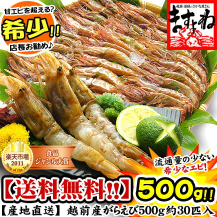 越前ガラエビ（生/冷凍）500g[送料無料]【ますよね】