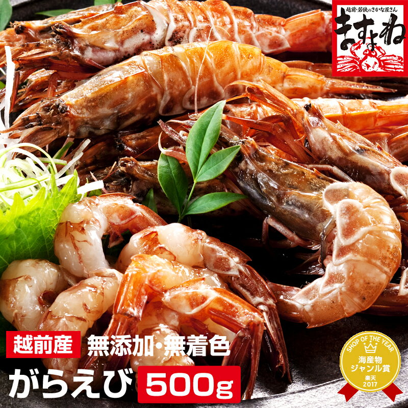 <strong>母の日</strong> 父の日 ギフト プレゼント 3980円送料無料！[越前がらえび500g(約30匹)[送料無料]無添加・無着色（生/冷凍）[えび/エビ/海老/ガラエビ/がすえび/ガスエビ][送料無料][<strong>刺身</strong>/海鮮/魚介/海の幸/北陸/福井]