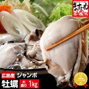 年末早割！最安挑戦★2380円送料無料(11/30 23:59迄)！ジャンボ広島カキ1kg[解凍後約850g]30粒前後/4-5人前※加熱用[送料無料]【グルメ大賞貝部門3年連覇】[かき/カキ/牡蠣/海鮮/鍋/お取り寄せ/カキオコ]ギフト プレゼント