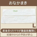 おなかまき Lサイズ 腹直筋離開の予防改善 妊娠中のおなかを...
