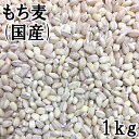 ¤â¤ÁÇþ¡Ú1Kg¡Û¡Ú¹ñ»º¡Û¡Ú¥È¥Ã¥×¥¯¥é¥¹¤Î¿©ÊªÁ¡°Ý ȯ²ê¸¼ÊÆ3ÇÜ¡¦ÇòÊÆ20Çܤο©ÊªÁ¡°Ý ¥¿¥ó¥Ñ¥¯¼Á ¿©ÊªÁ¡°Ý ¥Ó¥¿¥ß¥óE ¥Ó¥¿¥ß¥óB1 °¡±ô Å´ ¥Þ¥°¥Í¥·¥¦¥à 1¥¥í¥°¥é¥à ¤Þ¤Ä¤Ð¤ä ¾¾ÍÕ²° ¥¢¥á²£ »¨¹ò ÄÌÈΡۡÚRCP¡Û