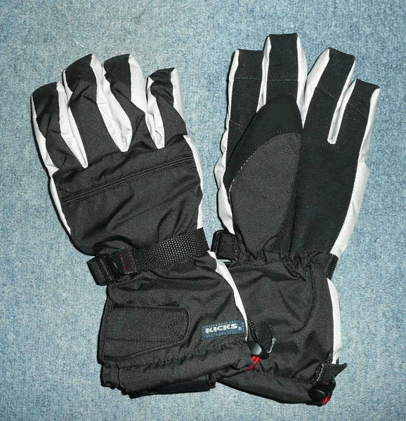 即発送　■送料無料■ヒーターグローブ人気のフリーサイズ　ヒーター手袋ほっかほっか手袋　はオートバイグローブ　スキーグローブとしても重宝されています　ヒーター手袋　ヒートグローブ