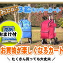 3特典【送料無料+お米＋ポイント】　　おでかけ3輪キャリーカート 重い荷物も楽々　椅子にもなるキャリーカート　3輪が回転して階段もラクラク登る新構造!!お出かけ3輪キャリーカート レビューを記入でお米付