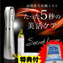 3特典【送料無料+お米+ポイント】 シークレットラバー 炭酸ミスト SecretLover ミスト噴霧機 炭酸化粧水 炭酸ガスカートリッジ 炭酸ボンベ付き 炭酸アクアミスト レビューで米付