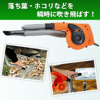 ڥݥȺ10ܡ̵ۡĴǽդ֥(ե쥭֥ۡ)BL-500H̤䤹֤ˤޤäդۥֻ˿᤭Ф!Ф