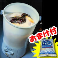 ꤪޤբѥ ư餷...