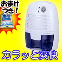 除湿機 除湿器 大容量1日250ml 梅雨の 洗濯物乾燥機 エアコン 扇風機 使用時の 乾燥除湿器 小型 乾燥機