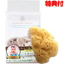 《クーポン配布中》 マリンスポンジ 当店限定特典【まりんすぽんじ+お米】 フェイススポンジ 洗顔用スポンジ 海綿 海綿質繊維 海綿スポンジ 海のスポンジ スポンジ洗顔 海のまゆ玉 通販 な