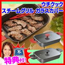 グリルロースター ウチクック スチームグリル ガラスカバー UCS16 レシピ付き ガス・IH対応 ロースター 魚焼きフライパン 波形プレート UCS-16