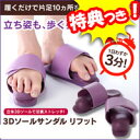 【送料無料+お米+お得なクーポン券】 3Dソールサ