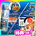 初心者〜 フィッシング リール ロッド 釣りセット 釣り入門セット 釣り具セット 釣具セット 釣り具キット 魚釣りセット 魚釣りキット 釣竿セット 海釣りセット 川釣りセット