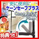 ★最大43倍+クーポン★ ケーンセーフプラス ロング ショー...