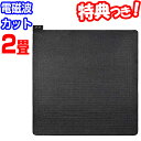 広電 電気カーペット 電磁波99%カット 2畳 CWU206...