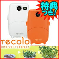 3特典【お米＋保証＋ポイント】　キングジム　インターバルレコーダー　レコロ　recolo　IR5　KINGJIM インターバル撮影専用レコーダー　インターバルカメラ　KING JIM　動画投稿サイトでも人気のインターバル撮影が誰でもカンタン　レビューで米付【ポイント最大10倍】　キングジム　インターバルレコーダー　レコロ　recolo　IR5　インターバル撮影専用レコーダー　インターバルカメラ