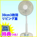 3特典【送料無料+お米+ポイント】 30cm メカ