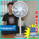 体験談記載 3特典【送料無料+お米+ポイント】 ド