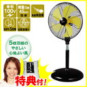 45cmDCモーター工場扇 DCF-45V 当社限定セット 【 DCF45V + お米 】 ナカトミ 45cm羽根工場扇 ガレージや工場、オフィスに NAKATOMI 扇風機 DC扇風機 DC工場扇 大型扇風機 業務用扇風機 通販
